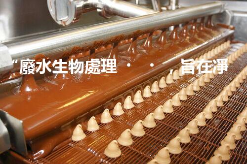 “廢水生物處理，旨在凈化水源，守護(hù)碧水藍(lán)天”